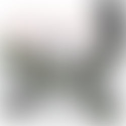 Benito García enseñando flamenco en clase en Japón, junto a sus alumnas, en un momento de trabajo y aprendizaje.