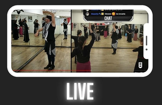 BGFLAMENCO NET CLASS