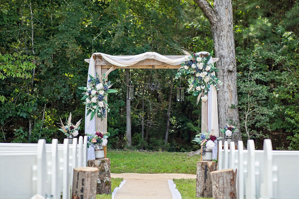 nikki morgan cassidy 3_edited.jpg