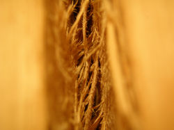 P7290501