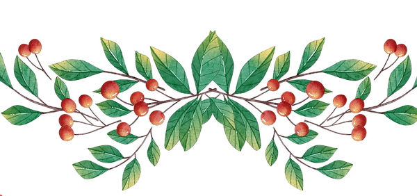 hillsborough christmas dividing line fruit decoration_6817164 (2).png