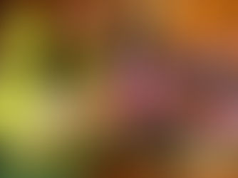 Why Art, Vintage Pieces, and Collectible Design Enrich Your Space