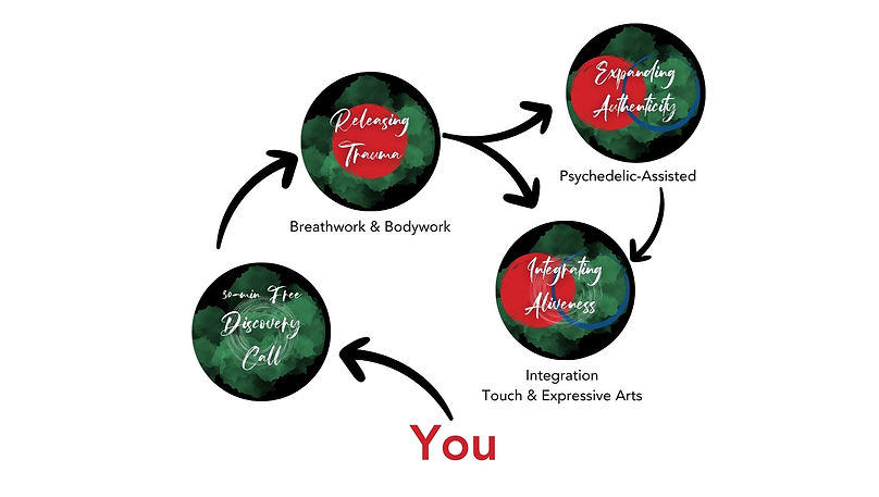 Individual Sessions Flow