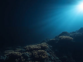 Mastering Aquarium Care: The Importance of Proper Lighting