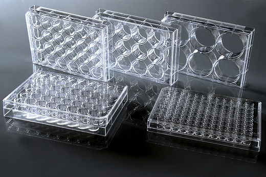 384 Well Cell Culture Plate, clear, flat bottom,  TC, sterile 1/pack, 100/cs