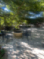 78709043980__6CFD5648-686F-4B5C-90BA-7581A8960A02