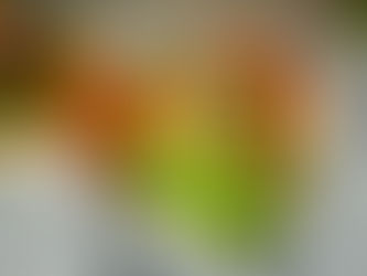 Grouper Tacos (with a Hot Pepper Papaya Sauce)