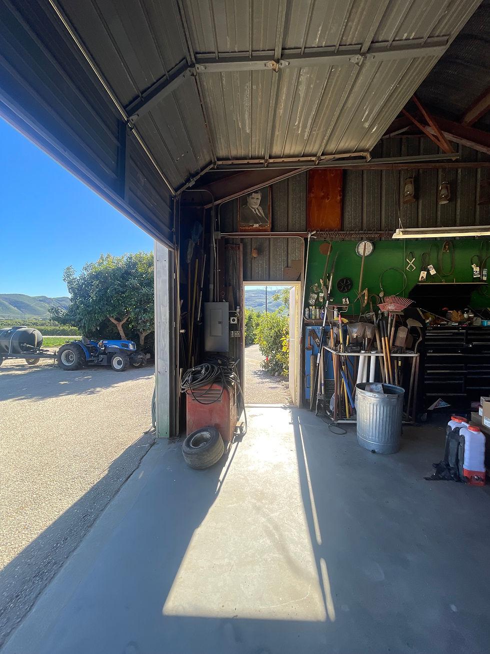 78709014377__6B0E39DE-7FE3-44A2-994D-DE389E1A9BEE