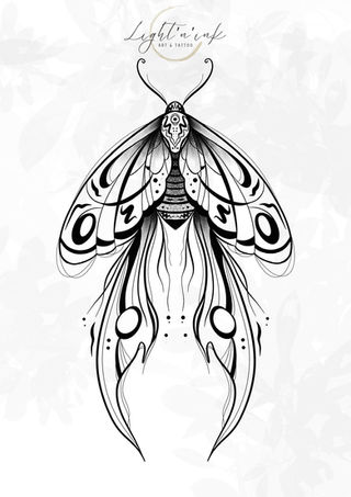 Papillon
