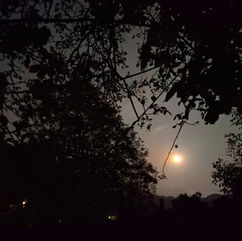 Luna - piena - di luciole