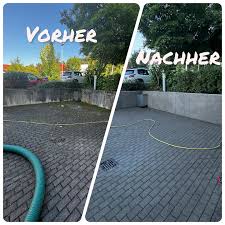 Pflastersteinreinigung