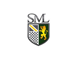 yellow and green shield.jpeg