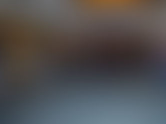 2016 Texas South Plains Honor Flight: Welcome Home