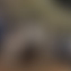 2017 Texas South Plains Honor Flight: Leaving Lubbock (Part 1)