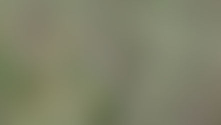 Montes del Plata incorporó una nueva Área de Alto Valor de Conservación en Río Negro