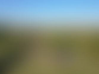 El Bioparque M’Bopicuá de Montes del Plata abre nuevamente sus puertas en estas vacaciones de invierno