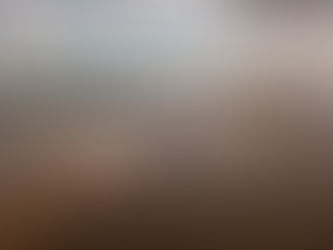 Montes del Plata presentó su sexto reporte de sostenibilidad, con un impacto económico de más de US$ 1.100 millones