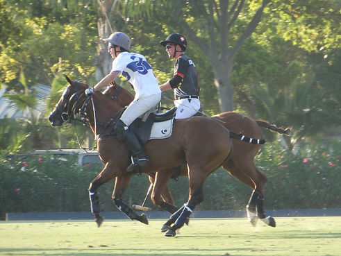 Sotogrande.JPG
