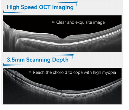 Screenshot 2025-09-27 105202.png