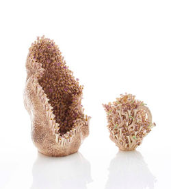 Seasequeen vessel and Tea by the pool teapot