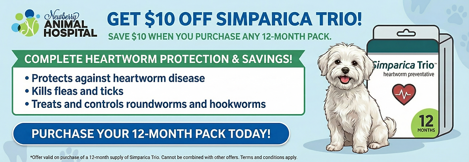 Promotional banner for Newberry Animal Hospital advertising $10 off Simparica Trio when purchasing a 12-month pack. The graphic features a smiling white dog sitting next to a Simparica Trio heartworm preventative box. Text highlights the product’s benefits, including protection against heartworm disease, killing fleas and ticks, and treating roundworms and hookworms. A blue button reads ‘Purchase Your 12-Month Pack Today.’ Background includes soft paw print patterns.