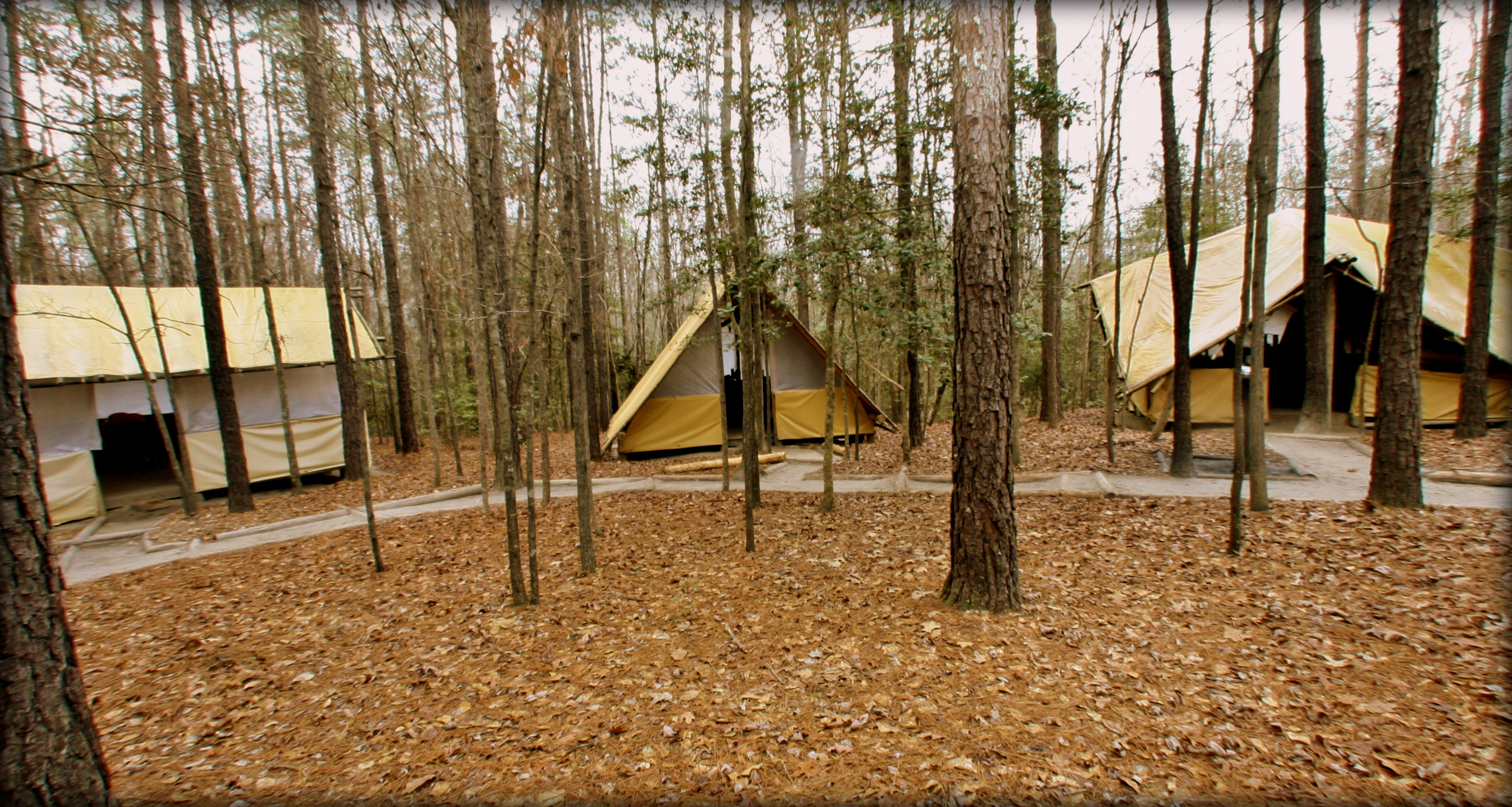 Virtual Tour Cameron Boys Camp