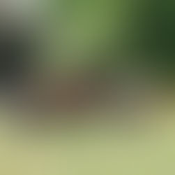 Lessons on the River with Cameron Boys Camp