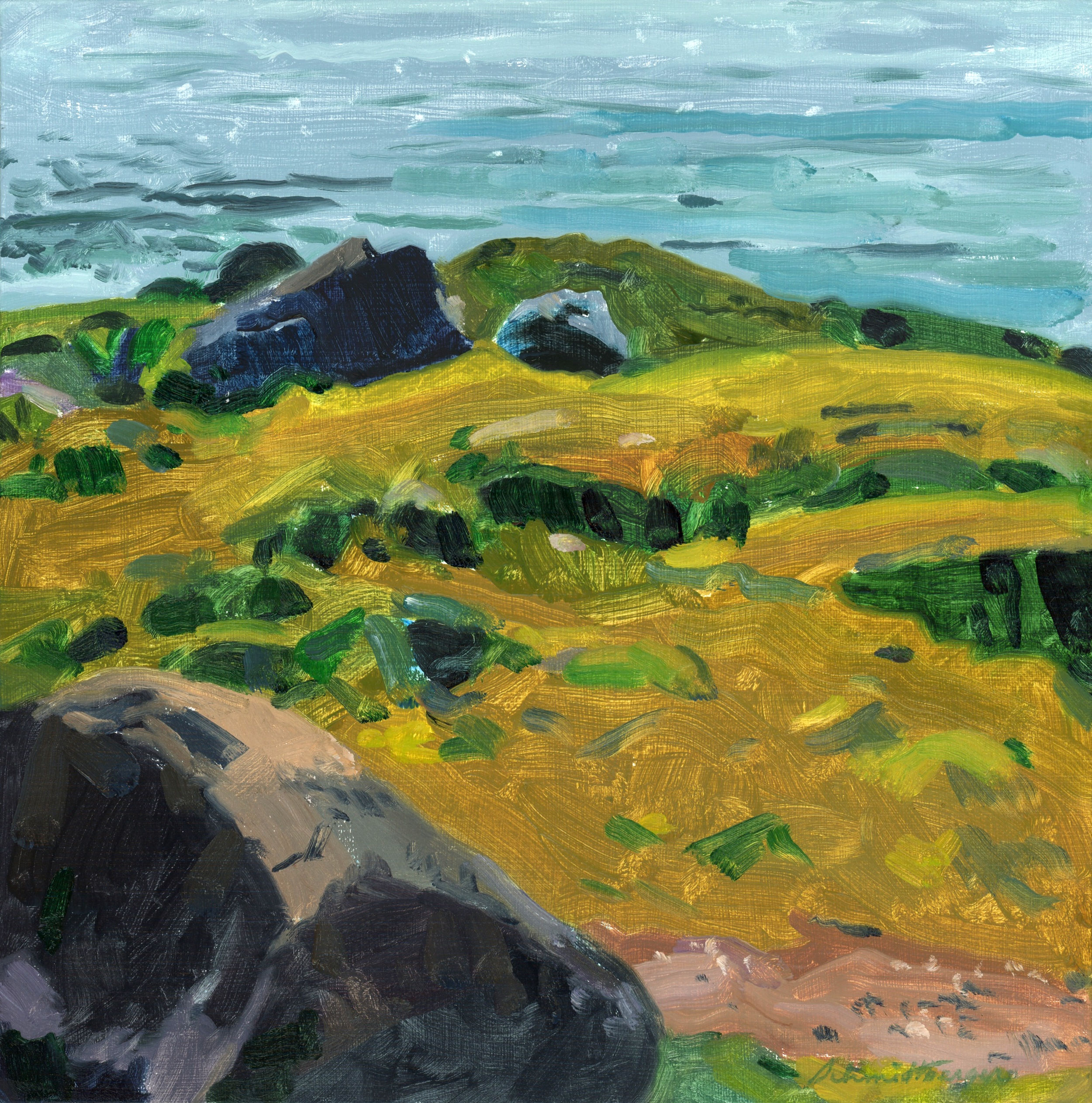 Seaweed