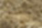 seeds-3713535.jpg