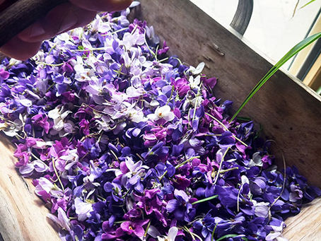 Les promesses de migraine et de stress dès la naissance