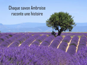 Comment choisir le parfum d'un savon sur internet?