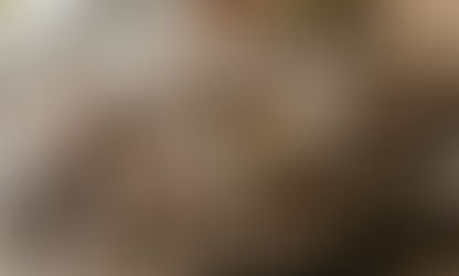 Réglisse en cosmétique : l’ingrédient douceur qui éclaire le teint