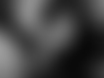 Pas de sortie en salle pour Mulan