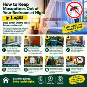 How to Keep Mosquitoes Out of Your Bedroom at Night in Lagos