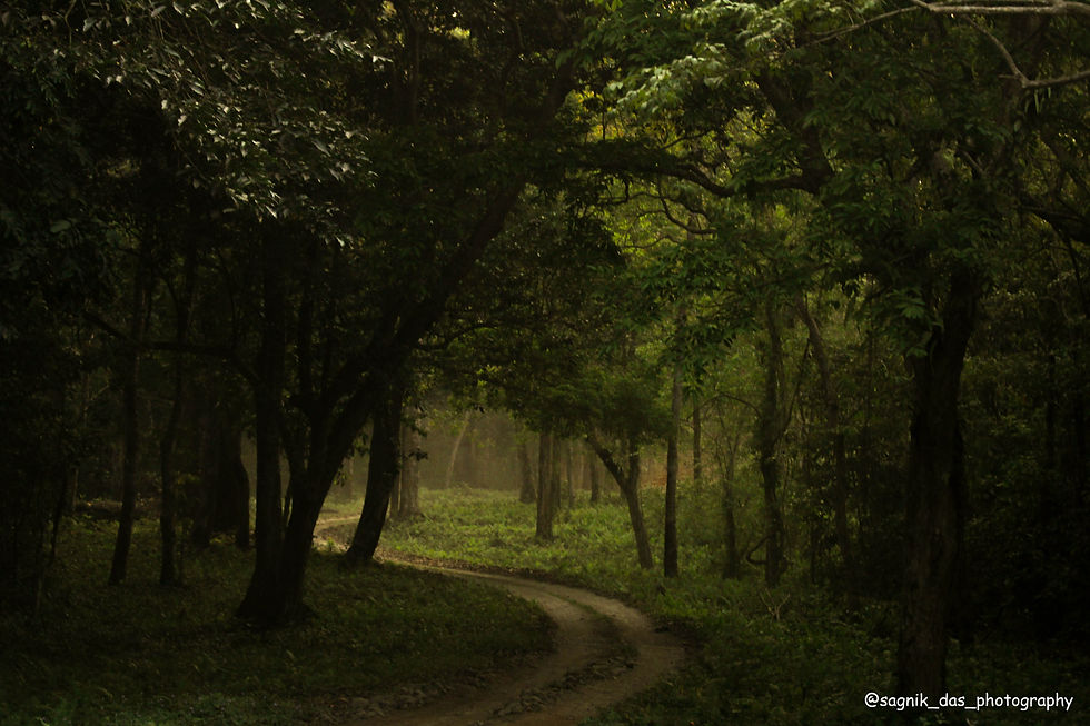 Sagnik Das Photography