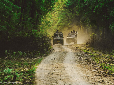 Forest ride