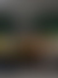 Criciúma oficializa patrocinadores do futebol feminino para a temporada 2026