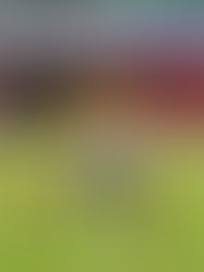 Meninas Carvoeiras competem contra o Fluminense em Joinville