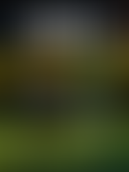 Meninas Carvoeiras iniciam defesa do título na Copa SC Sub-15 Feminina