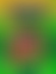 Criciúma tem duas convocadas para a Seleção Sub-15