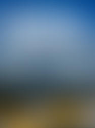 Meninas Carvoeiras estreiam no Catarinense Feminino neste domingo