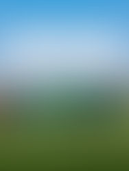 Meninas Carvoeiras encerram participação no Mundial Universitário