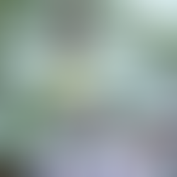 25チームに懸ける想いー古市明日香ー