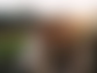 What to Wear to a Baseball Game