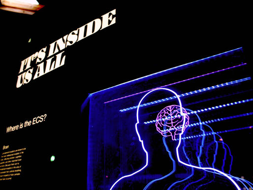 The Winning Edge: Unlocking Performance With Sport Psychology Techniques