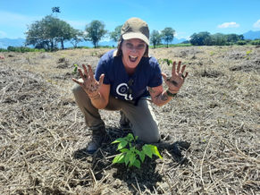 Plantio de mudas no dia Internacional da Mulher