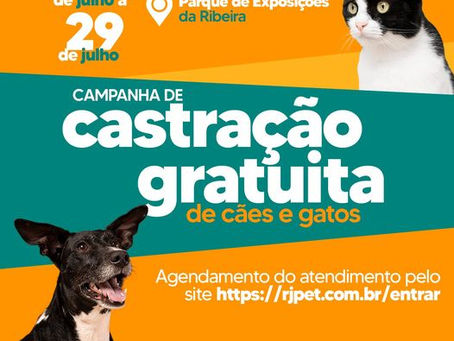 Município terá Castração gratuita de PET´S do dia 25 A 29 DE JULHO