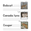 Thumbnail: Canadian Mammal Copywork - PDF