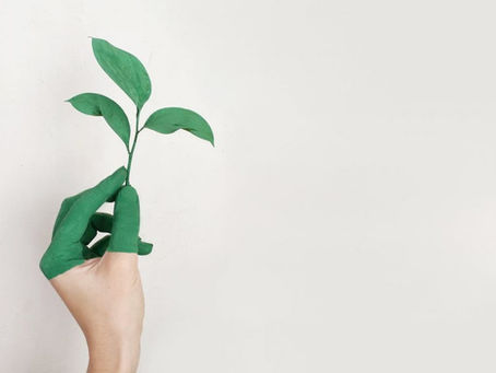 La solución : Vida basada en plantas / The Solution : Plant-Based Living