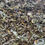 Thumbnail: Ceyaka-Mint Tea